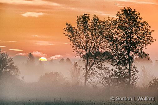 Two Trees At Sunrise_14082.jpg - Photographed near Smiths Falls, Ontario, Canada.